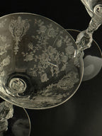Jardin Martini Glasses