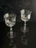 Two clear glass goblets with etched floral patterns and flared circular bases, displayed on a dark reflective surface against a dark textured background.